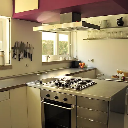 Sunny Garden By Be@home * Cascais