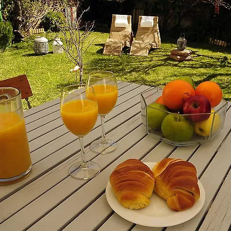 Sunny Garden By Be@home Semesterbostad