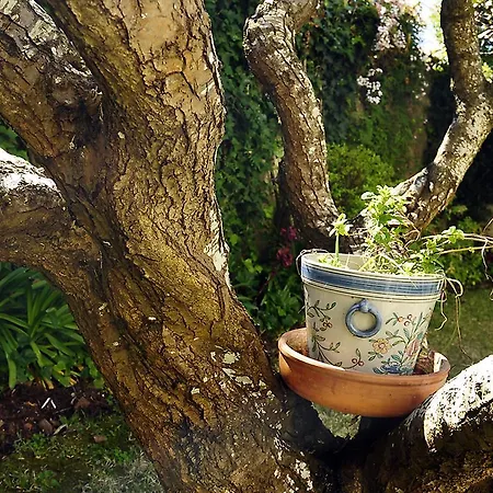 Sunny Garden By Be@home *