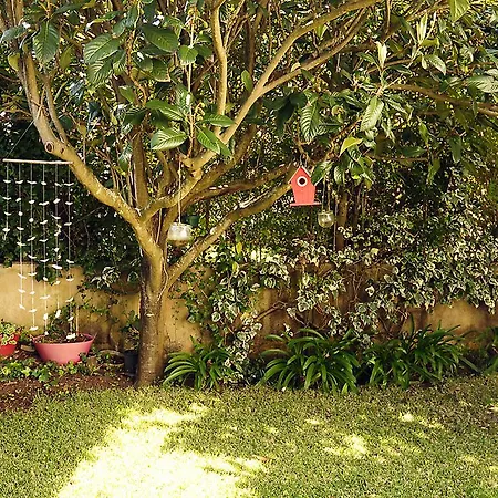 Sunny Garden By Be@home