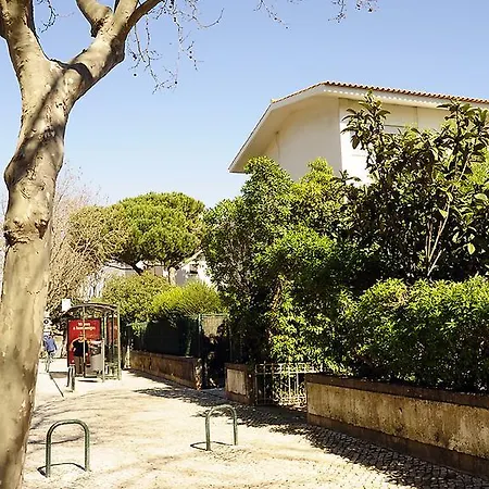 Sunny Garden By Be@home * Cascais